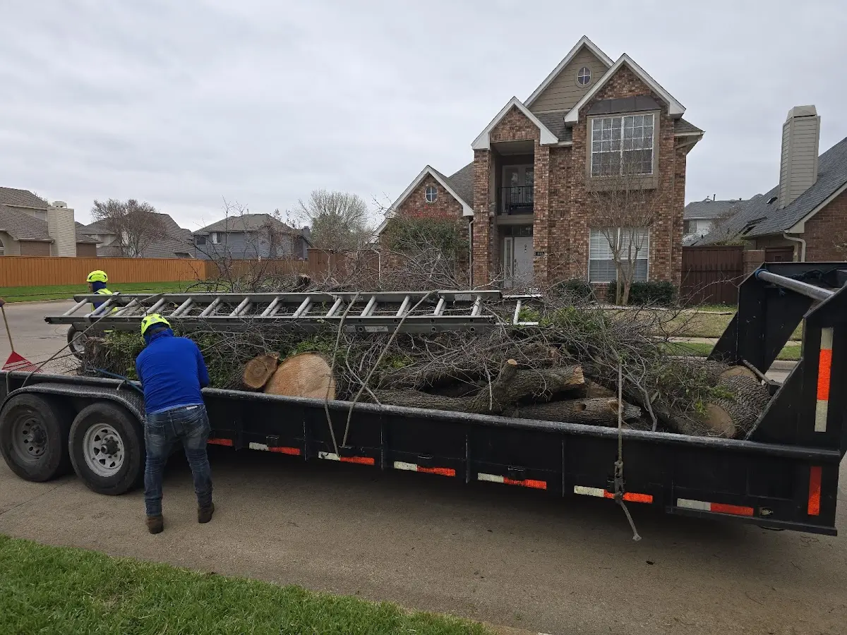 Expert Tree Removal with proper safety equipment in Leavenworth